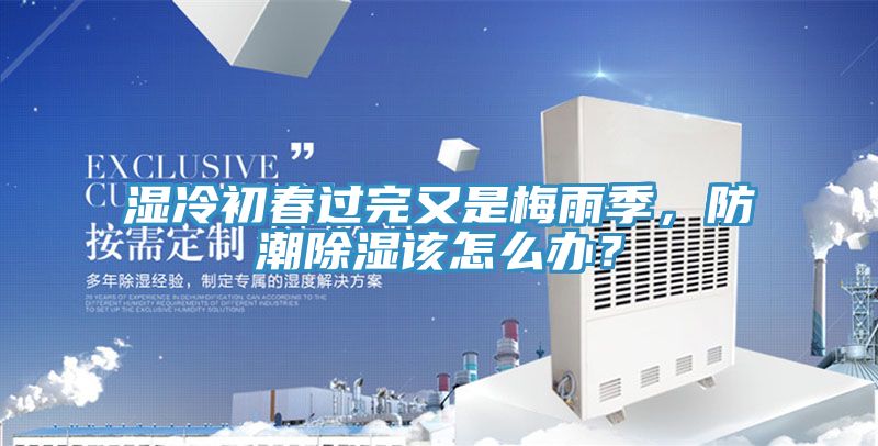 湿冷初春过完又是梅雨季，防潮除湿该怎么办？