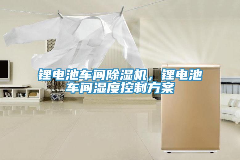 锂电池车间粉色应用黄色软件，锂电池车间湿度控制方案