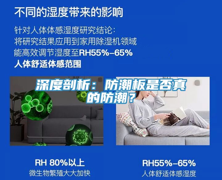 深度剖析：防潮板是否真的防潮？