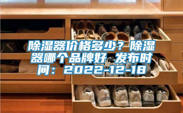 除湿器价格多少？除湿器哪个品牌好 发布时间：2022-12-18