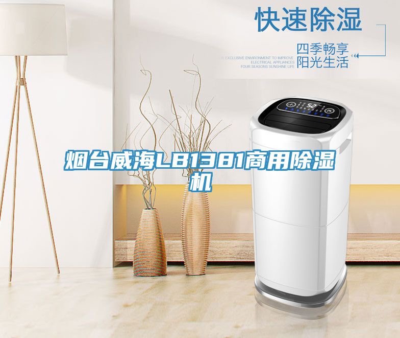 烟台威海LB1381商用粉色应用黄色软件