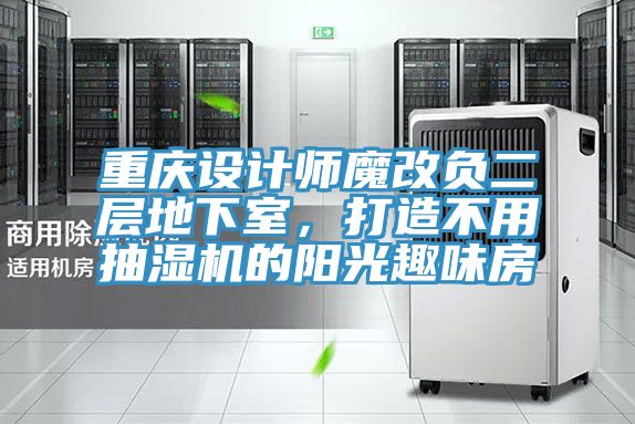 重庆设计师魔改负二层地下室，打造不用抽湿机的阳光趣味房