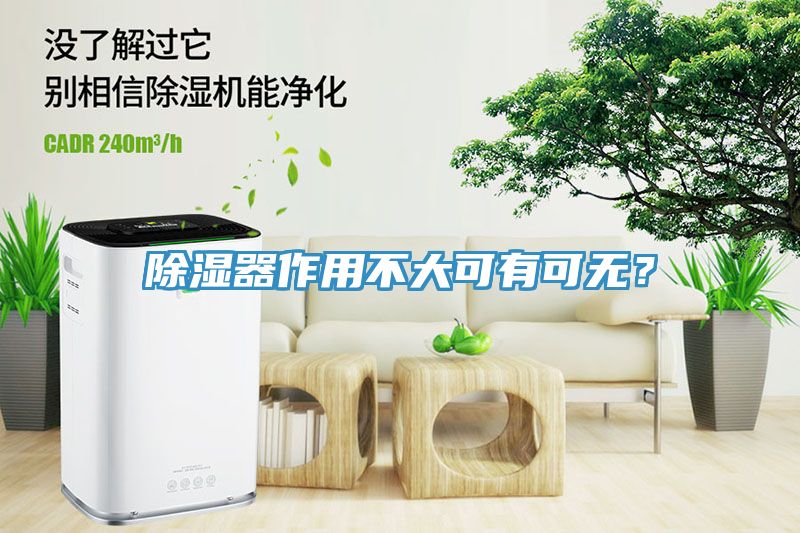 除湿器作用不大可有可无？