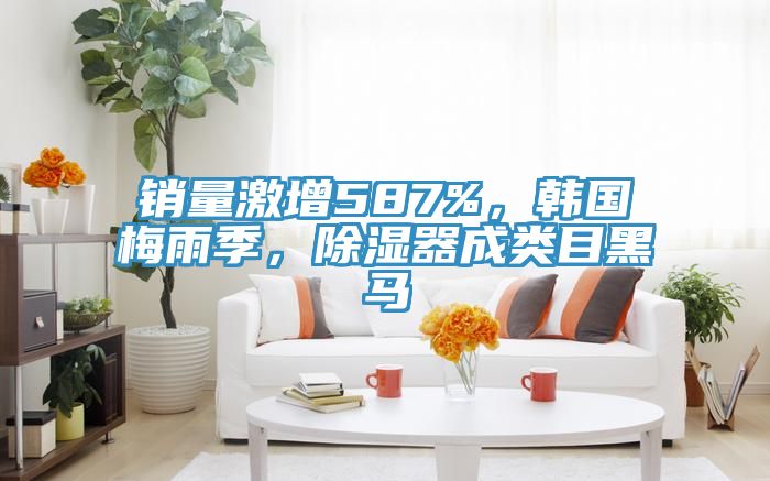 销量激增587%，韩国梅雨季，除湿器成类目黑马