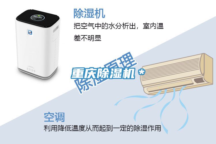 重庆粉色应用黄色软件＊