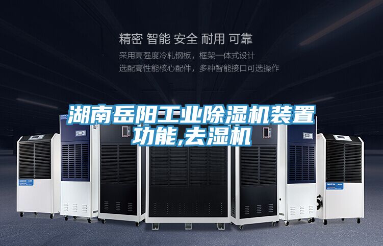 湖南岳阳工业粉色应用黄色软件装置功能,去湿机