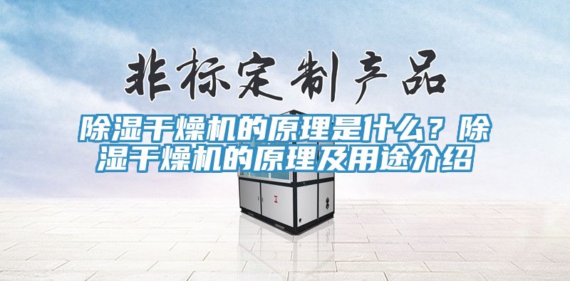 除湿干燥机的原理是什么？除湿干燥机的原理及用途介绍