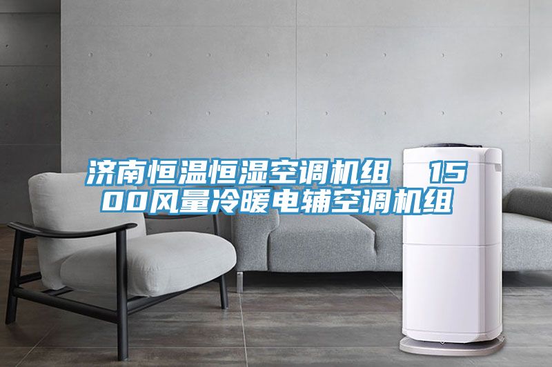 济南恒温恒湿空调机组 1500风量冷暖电辅空调机组