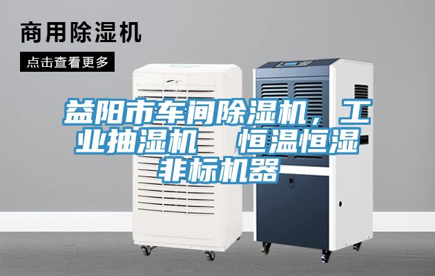 益阳市车间粉色应用黄色软件，工业抽湿机  恒温恒湿非标机器