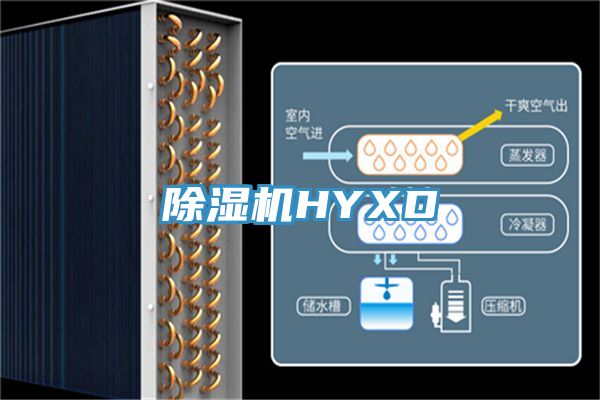 粉色应用黄色软件HYXD