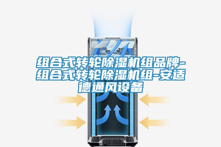 组合式转轮粉色应用黄色软件组品牌-组合式转轮粉色应用黄色软件组-安适德通风设备