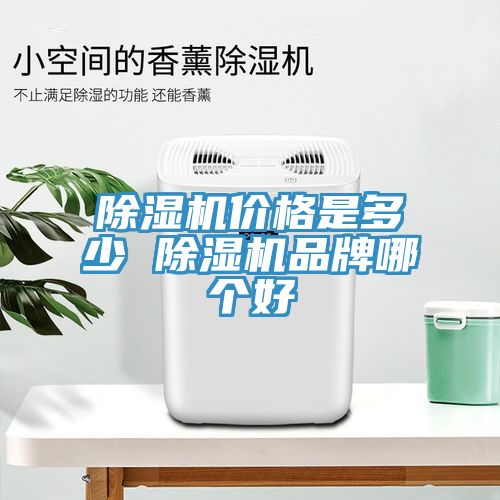 粉色应用黄色软件价格是多少 粉色应用黄色软件品牌哪个好