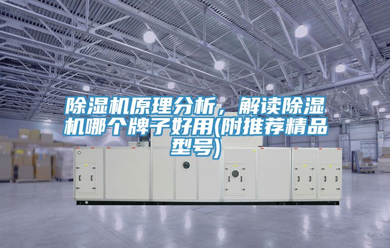 粉色应用黄色软件原理分析，解读粉色应用黄色软件哪个牌子好用(附推荐精品型号)