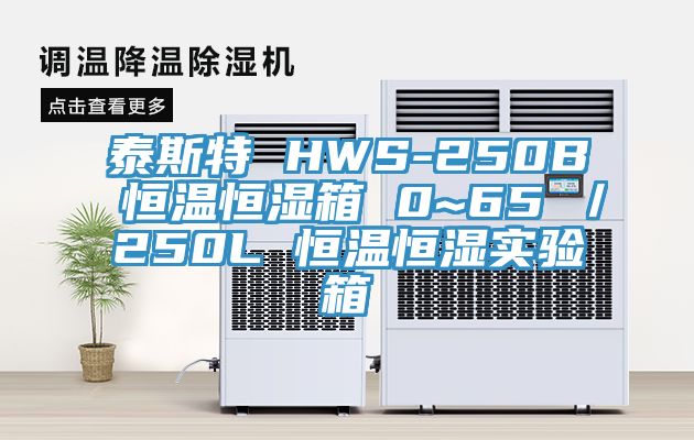 泰斯特 HWS-250B 恒温恒湿箱 0~65℃/250L 恒温恒湿实验箱