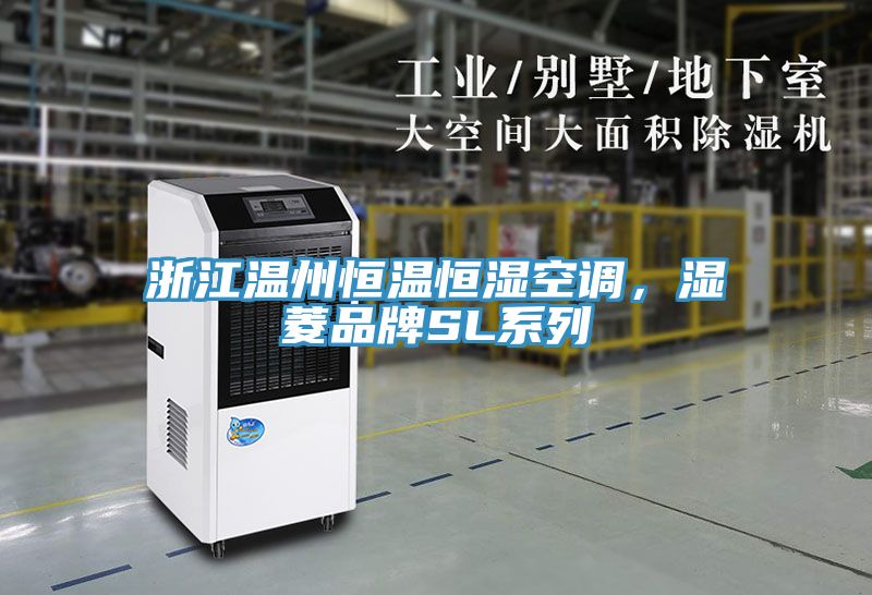 浙江温州恒温恒湿空调，湿菱品牌SL系列