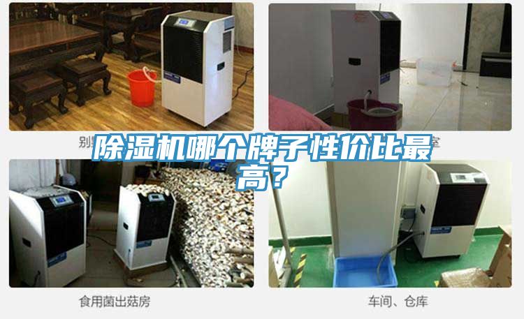 粉色应用黄色软件哪个牌子性价比最高？