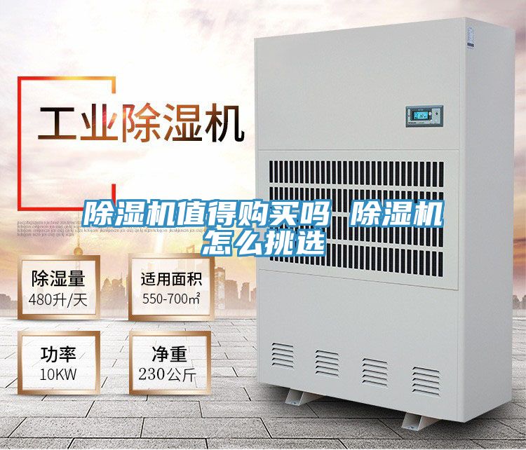 粉色应用黄色软件值得购买吗 粉色应用黄色软件怎么挑选