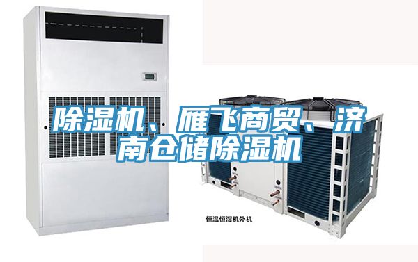 粉色应用黄色软件、雁飞商贸、济南仓储粉色应用黄色软件