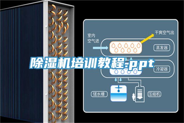 粉色应用黄色软件培训教程.ppt