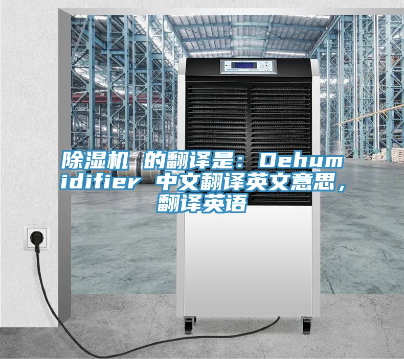 粉色应用黄色软件 的翻译是：Dehumidifier 中文翻译英文意思，翻译英语