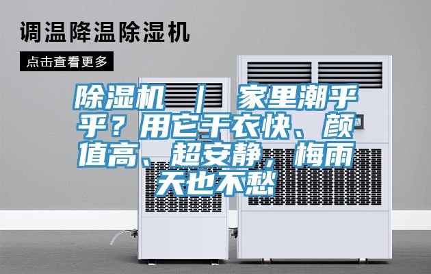 粉色应用黄色软件 ｜ 家里潮乎乎？用它干衣快、颜值高、超安静，梅雨天也不愁