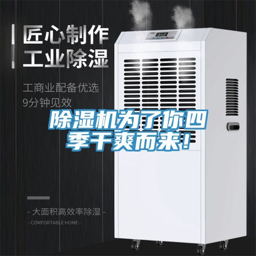 粉色应用黄色软件为了你四季干爽而来！