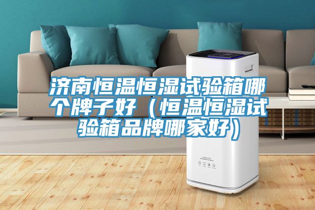 济南恒温恒湿试验箱哪个牌子好(恒温恒湿试验箱品牌哪家好)