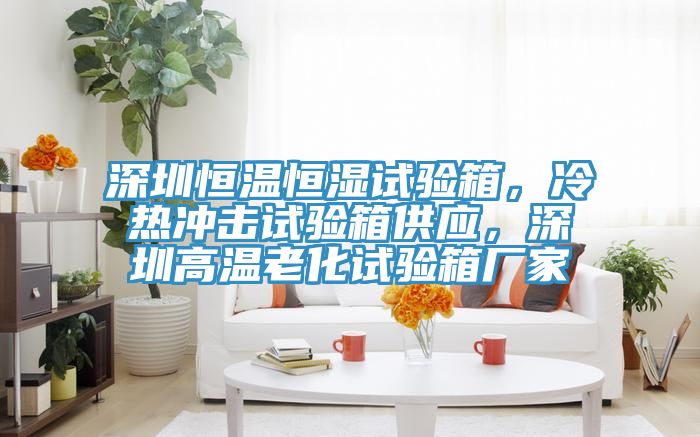 深圳恒温恒湿试验箱，冷热冲击试验箱供应，深圳高温老化试验箱厂家