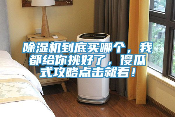 粉色应用黄色软件到底买哪个，我都给你挑好了，傻瓜式攻略点击就看！