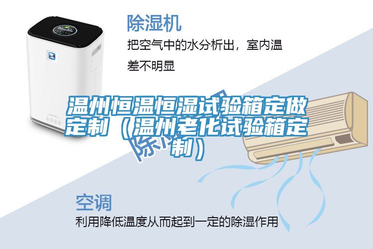 温州恒温恒湿试验箱定做定制(温州老化试验箱定制)