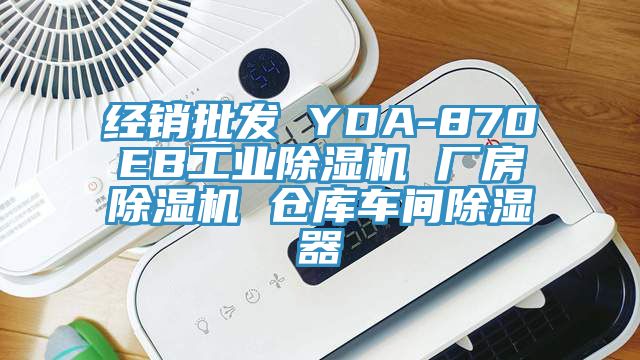 经销批发 YDA-870EB工业粉色应用黄色软件 厂房粉色应用黄色软件 仓库车间除湿器