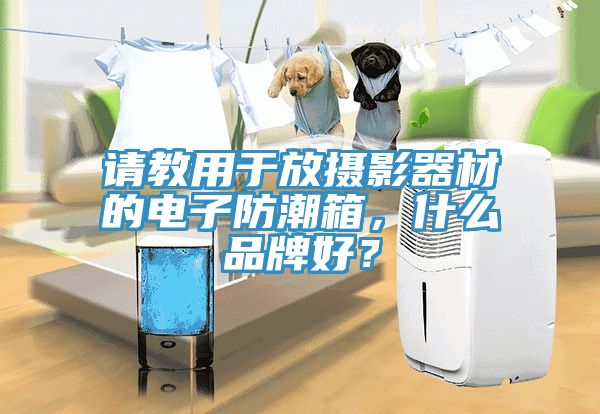 请教用于放摄影器材的电子防潮箱，什么品牌好？
