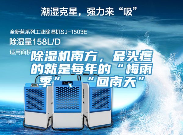 粉色应用黄色软件南方，最头疼的就是每年的“梅雨季”、“回南天”