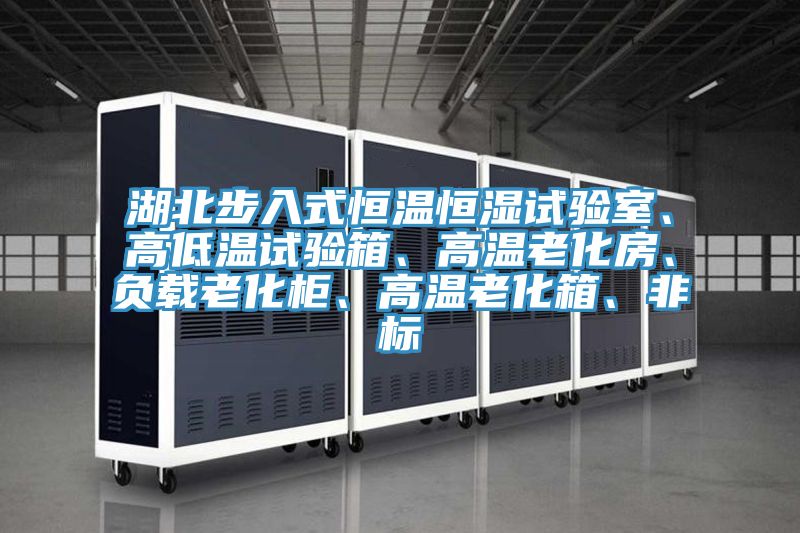 湖北步入式恒温恒湿试验室、高低温试验箱、高温老化房、负载老化柜、高温老化箱、非标
