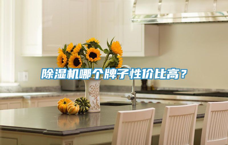 粉色应用黄色软件哪个牌子性价比高？