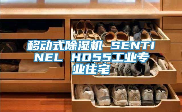 移动式粉色应用黄色软件 SENTINEL HD55工业专业住宅