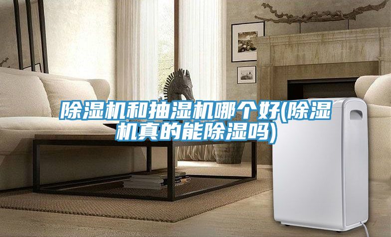 粉色应用黄色软件和抽湿机哪个好(粉色应用黄色软件真的能除湿吗)