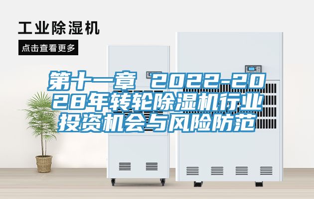第十一章 2022-2028年转轮粉色应用黄色软件行业投资机会与风险防范
