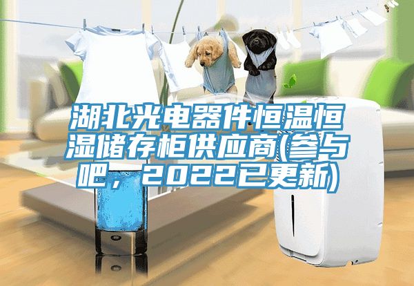 湖北光电器件恒温恒湿储存柜供应商(参与吧，2022已更新)