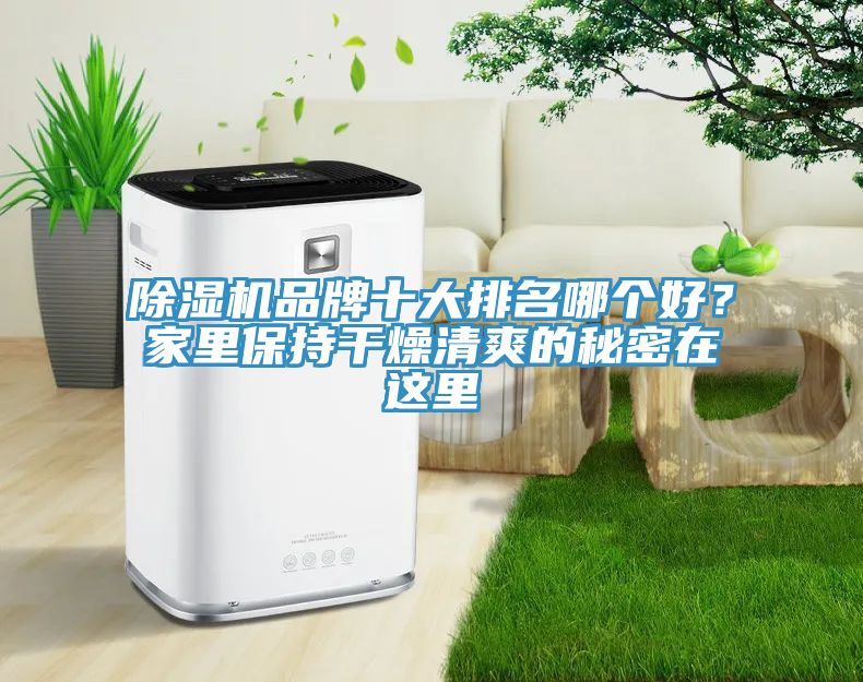 粉色应用黄色软件品牌十大排名哪个好？家里保持干燥清爽的秘密在这里
