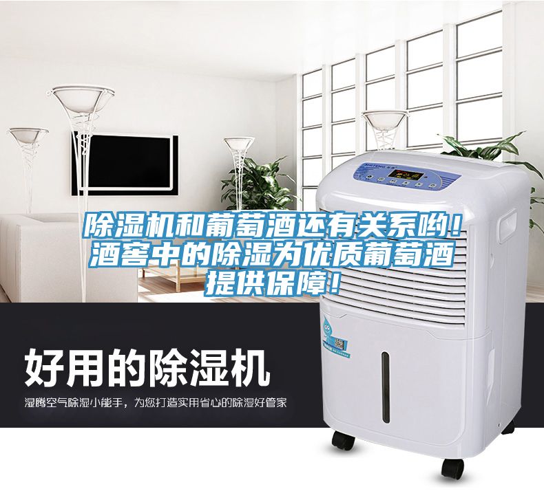 粉色应用黄色软件和葡萄酒还有关系哟！酒窖中的除湿为优质葡萄酒提供保障！