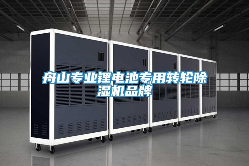 舟山专业锂电池专用转轮粉色应用黄色软件品牌