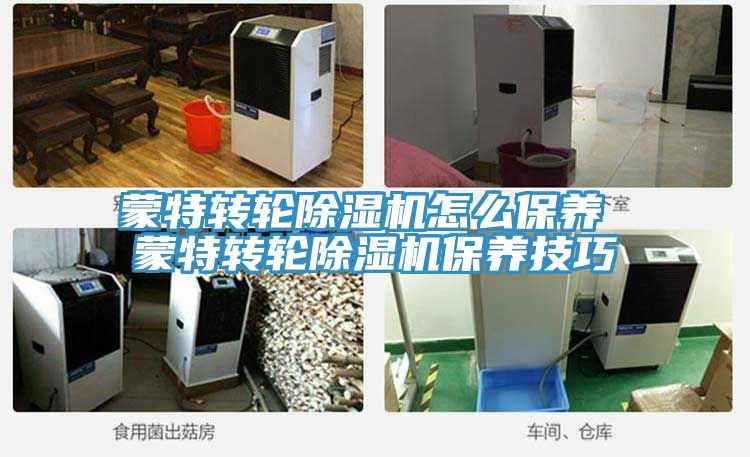 蒙特转轮粉色应用黄色软件怎么保养 蒙特转轮粉色应用黄色软件保养技巧