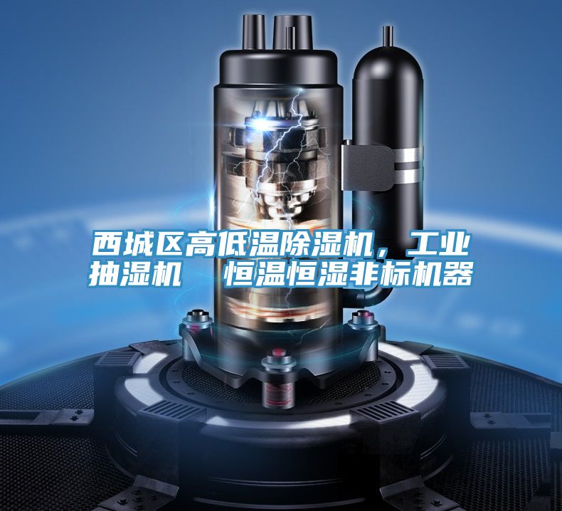 西城区高低温粉色应用黄色软件，工业抽湿机  恒温恒湿非标机器