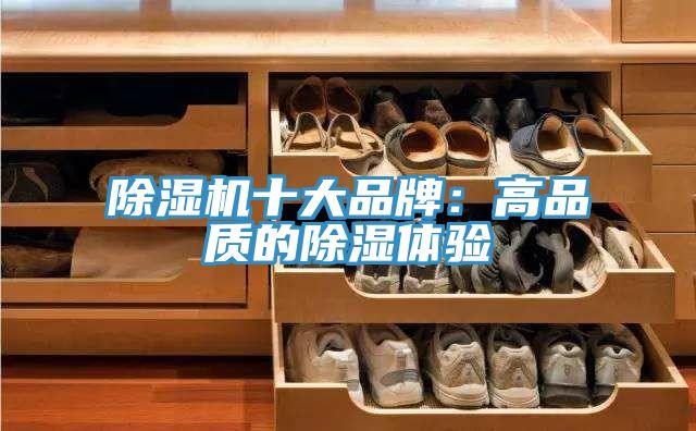 粉色应用黄色软件十大品牌：高品质的除湿体验