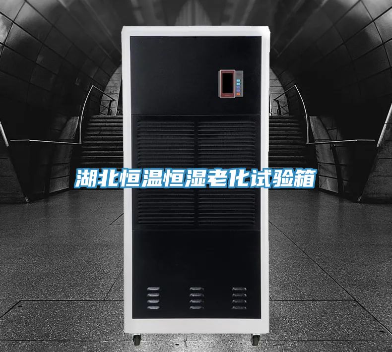 湖北恒温恒湿老化试验箱