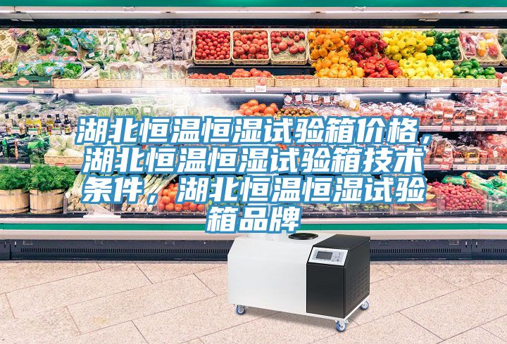 湖北恒温恒湿试验箱价格，湖北恒温恒湿试验箱技术条件，湖北恒温恒湿试验箱品牌