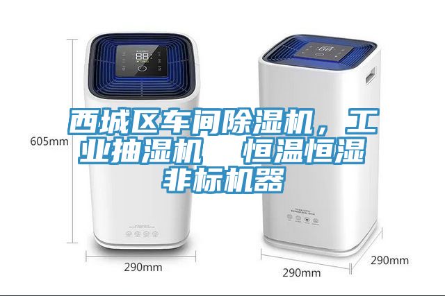 西城区车间粉色应用黄色软件，工业抽湿机  恒温恒湿非标机器