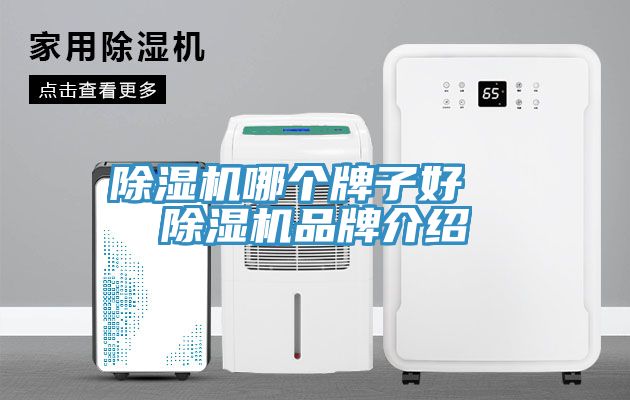 粉色应用黄色软件哪个牌子好  粉色应用黄色软件品牌介绍