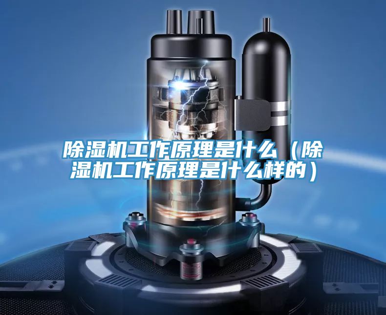 粉色应用黄色软件工作原理是什么（粉色应用黄色软件工作原理是什么样的）